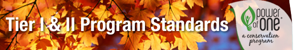 Tier 1 & 2 Program Standards header