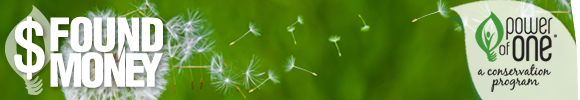 Found Money header