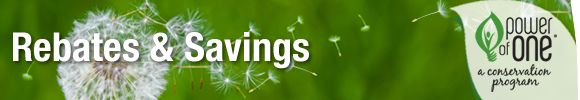Found Money header